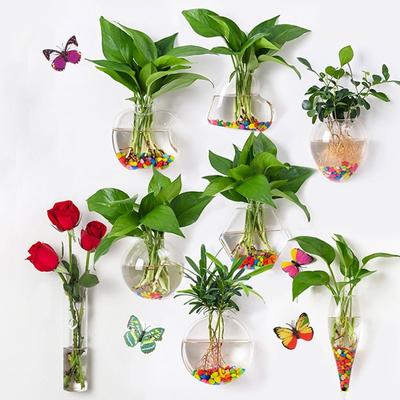 Cone Shape Wall Hanging Vase Transparent Fish Tank Wall Planter Plant Holder Aquarium Container Hydroponics Plants