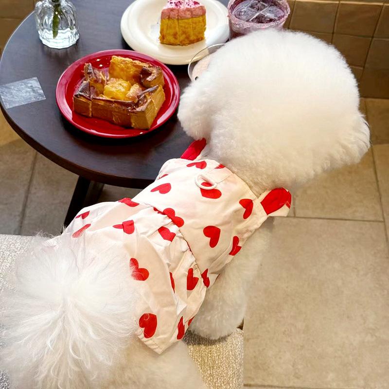 Pet dog clothes summer thin Teddy Bichon Pomeranian Yorkshire terrier small dog traction cat princess dress