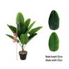 Simulation Traveler's Palm and Bird of Paradise Evergreen Large Potted Plant, 24 Heads, Indoor Floor Standing Bonsai
