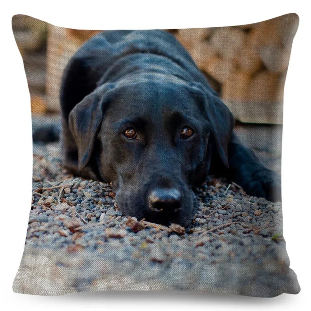 Cute Black Labrador Dog Double-Sided Printed Pillow Cover Short Plush Suitable Living Rooms Bedrooms Sofas Throw Cushion Cover
