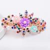 Korean Rhinestone Spring Hair Clip - Versatile Medium/Large Size for Women