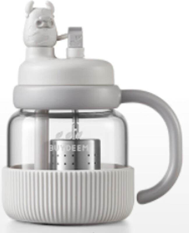 Buydeem Portable Tea Infuser Glass Bottle with Straw