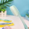 Frog Prince Soft Bristle Toothbrush 818