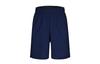 Casual Shorts Men's Blue Moderate 927527-478