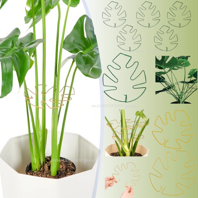 Plant Support Adjustable Metal Plant Support Climbing Stem Holder Monstera Stabilizergardening Tools and Planting Supplies