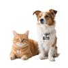 Custom Pet ID Tag Free Engraved Keychain for Dog Cat Name Tag Pendant Personalized Bone Paw Pet Accessories