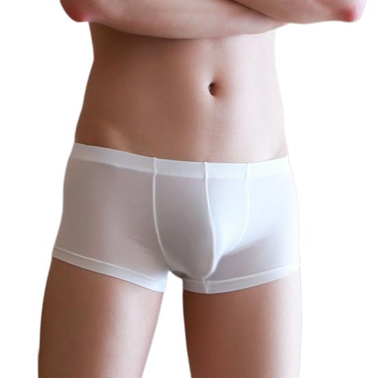 Men Ice Silk Shorts Briefs Transparent See-through Underwear Mid-rise Sexy Elastic Soft Underpants Panties