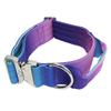 5MM Hundeleinen-Set, schrittweiser Wechsel, doppeltes Nylonhalsband, mittelgroße und große Hunde, Heimtierbedarf, Trainingsseil, Zubehör für große Hunde