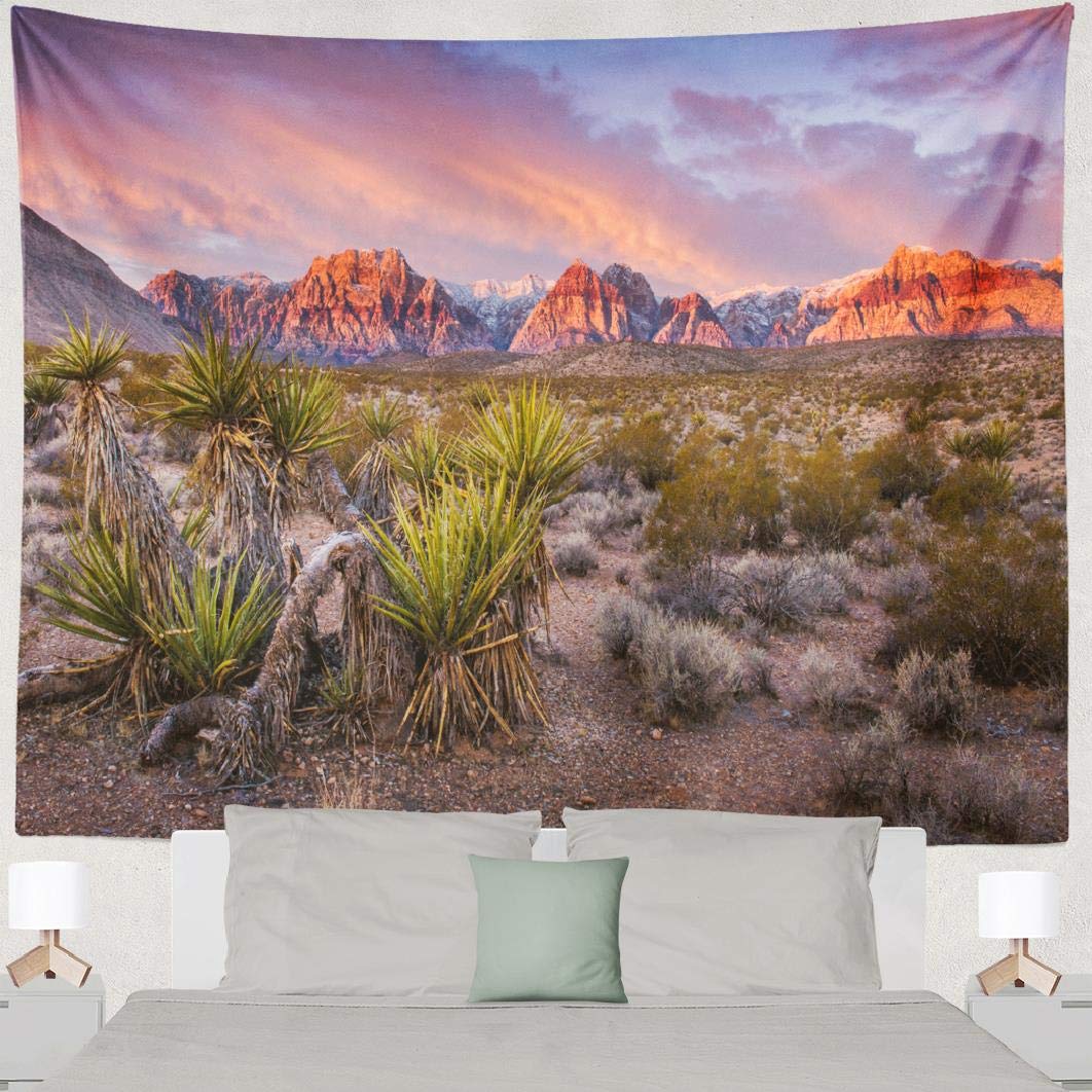 

Southwest Desert Vintage TapestryArizona Cactus Sunset Picnic Mat Hippie Trippy Tapestry Wall Art Decor for Bedroom Living Room 74x94cm(29x37in)