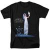 Tričko Stevie Nicks - Merch z koncertního turné - Retro grafický design - Trendy Streetwear - Pohodlné tričko Y2k Ins