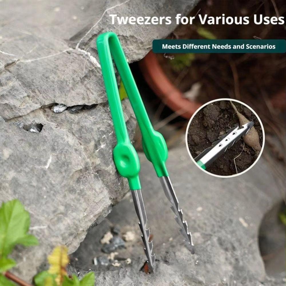 Stainless Steel Succulent Transplant Clip Multifunctional Plant Care Clip Daily Gardening