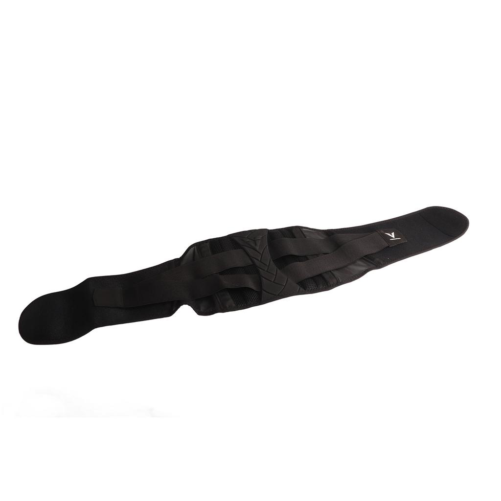 Gym Belt V Shaped Spine Support Squat Belts with 5 Steel Plates 2 Springs Side Waist Breathable Bodybuilding Belt L