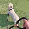 Dog Leash Slip Rope Lead Leash Heavy Duty Braided Rope Adjustable Loop Collar Training Leashes for Small Medium Dogs