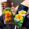 Phone Cases For OPPO Realme C71 Case Cover Silicone Soft TPU Bumper For Realme C71 4G Cases RealmeC71 C 71 Shockproof Bags Funda