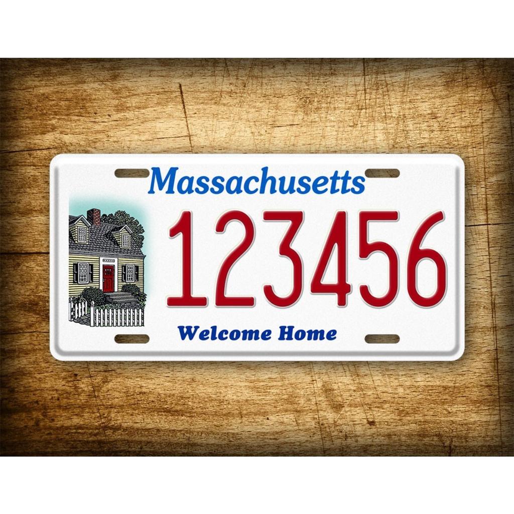 Customizable Metal License Plate Sign 6x12 Inch Personalized Home Decor