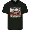 Youre Looking At an Awesome Lecturer Mens V-Neck Cotton T-Shirt