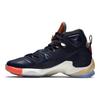 Nike LeBron 13 Ext Luxbron 823300-941