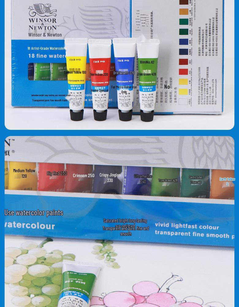 Winsor & Newton Professional Watercolor Set for Artists & Beginners