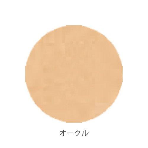 ONLY MINERALS Premium Foundation (7g)