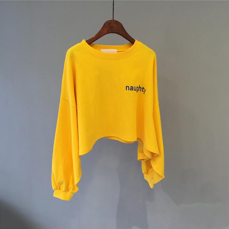 Women's Korean Style Cotton-Blend Crew Neck Sweatshirt - Spring/Autumn