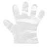 COFLYEE Disposable PE Transparent Gloves