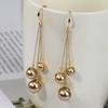S925 Silver Needle Long Fringed Earrings Temperament Cold Wind Ear Hook Ear Jewelry Women