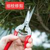Gardening Shears