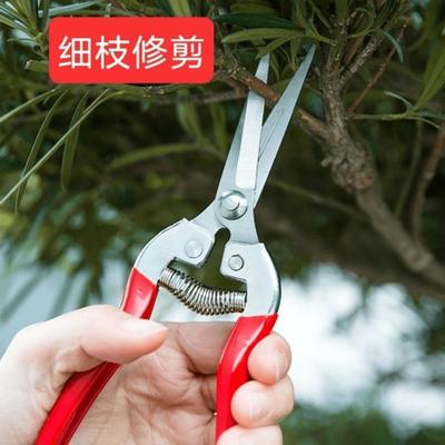 Tijeras de jardinería