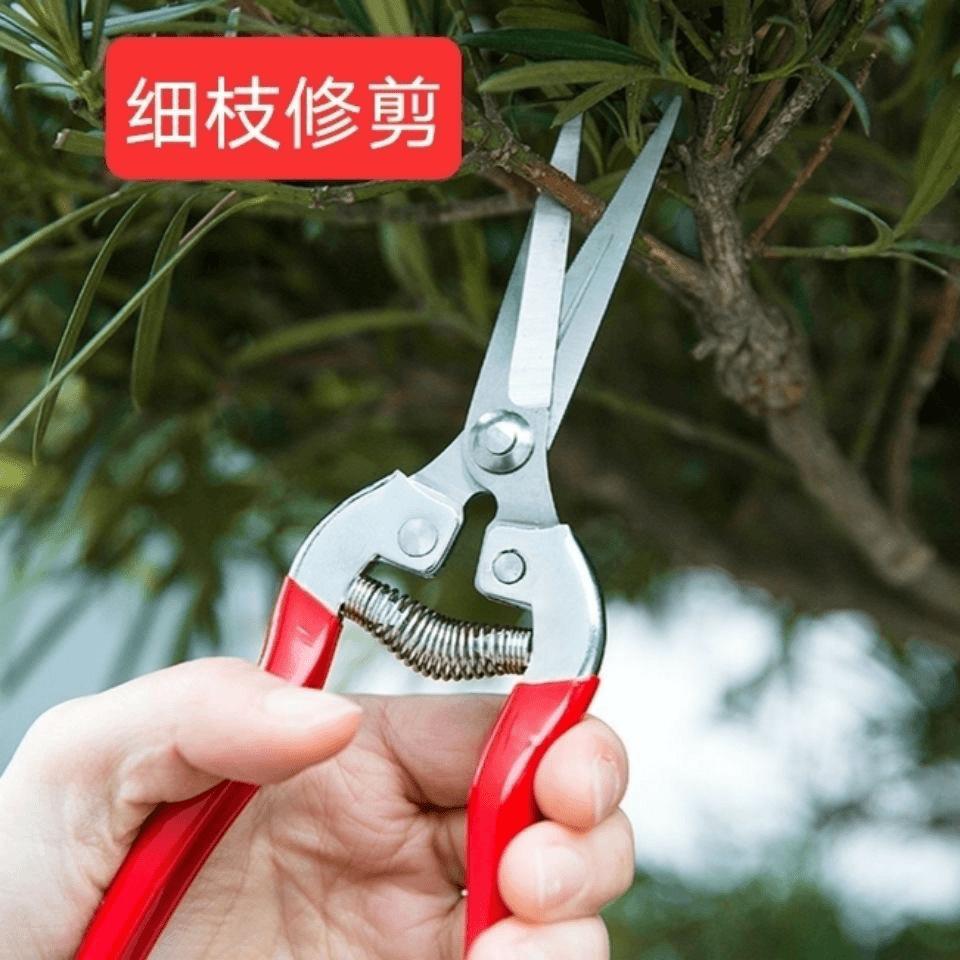 Gardening Shears