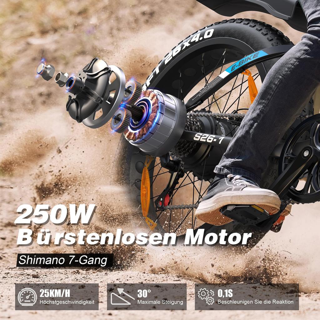 Electric Bicycle Adult VARUN 26" 750W Motor All Terrain Ebike 48V 18AH Max Range 70Km Load 150Kg S26