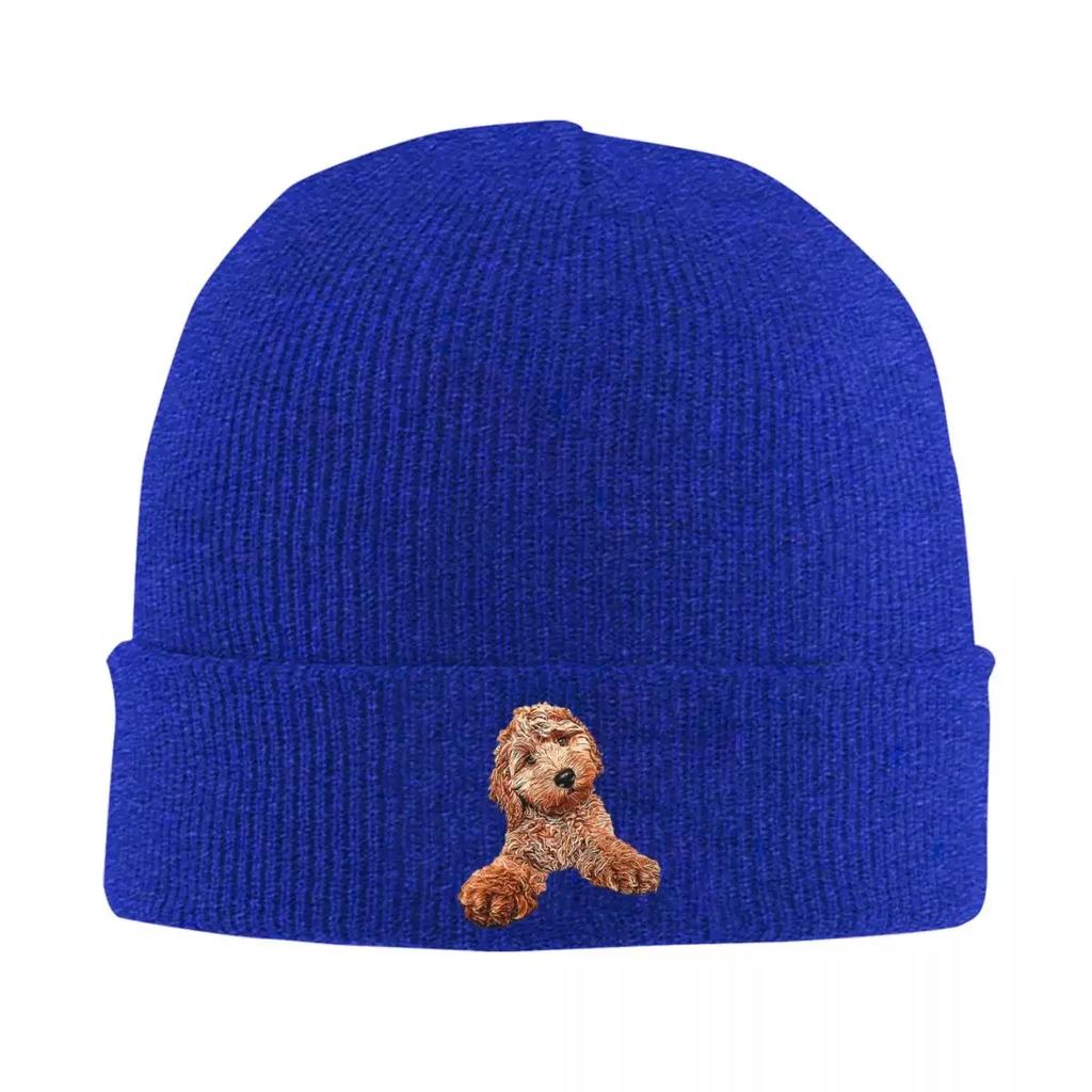 King Boo Warme Strickmütze Hip Hop Beanie Mütze Herbst Winter Outdoor Mützen für Unisex Damen Erwachsene
