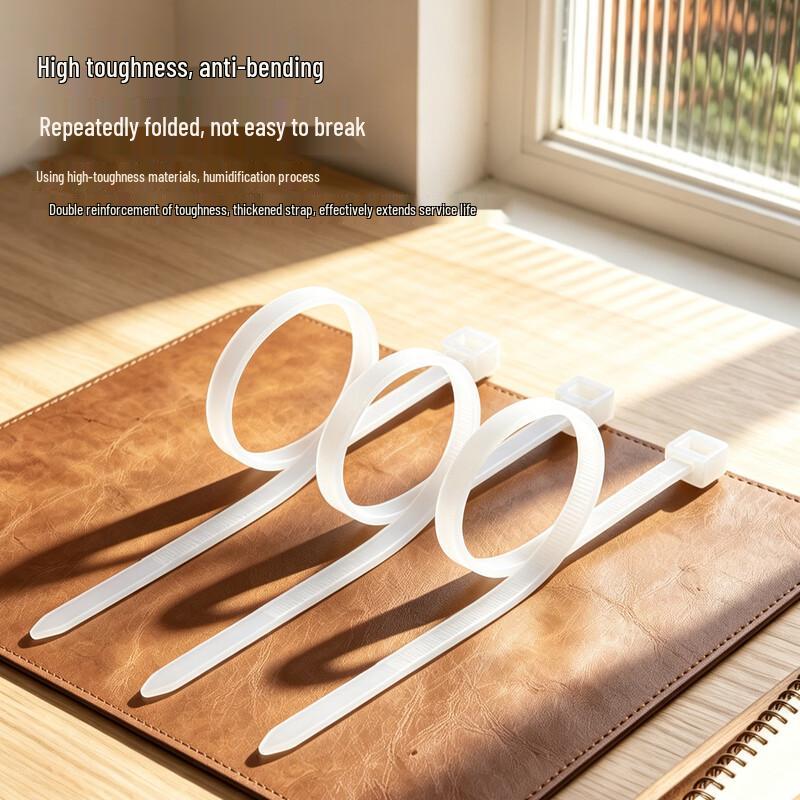 BIAZE Self-Locking Nylon Cable Ties