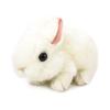Yoshinori Riku No Friends Plush Toy Rabbit White 180497