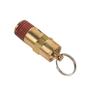 125PSI Brass Safety Valve Gold Air Compressor Check Valve  Air Compressor