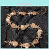 Bohemian Pearl Shell Starfish Metal Waist Chain For Summer Beach Vacation Accessory