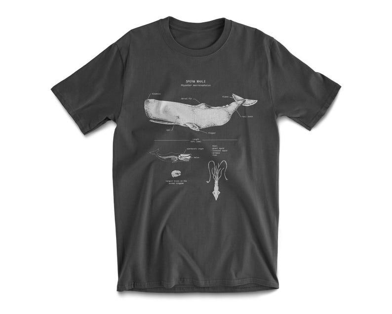 Sperm Whale Anatomy Map Marine Biology Sperm Whale T-shirt Whale Gift Boat Original Sperm Whale Drawing Personality Street Tops