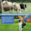 Herding Ball for Dogs, 18'' Durable Waterproof Jolly Ball for Dogs, Dog Training Toy for Medium & Large Breeds, Large Dog Toys for Collie, Australian