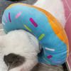 Adjustable Cat Recovery Collar, Cute Cat Donut Collar, Soft Cone Collars for Cat, Wound Healing Protective Cone After Surgery