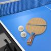 Victas Table Tennis Racket SWAT Attack Type Single Rubber Set