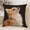 1pc Oil Painting Style Long-Haired Chihuahua Dog Pattern Printed Pillowcase, Vintage Cozy Style Home Decor Cushion Cover with Zipper Closure, Machine 