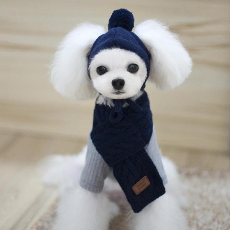 Haustier Hund Winter Warm Streifen Strickmütze + Schal Kragen Welpen Teddy Kostüm