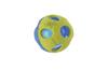 Richell Hundespielzeug Nerf Dog Light Ball 2.5i