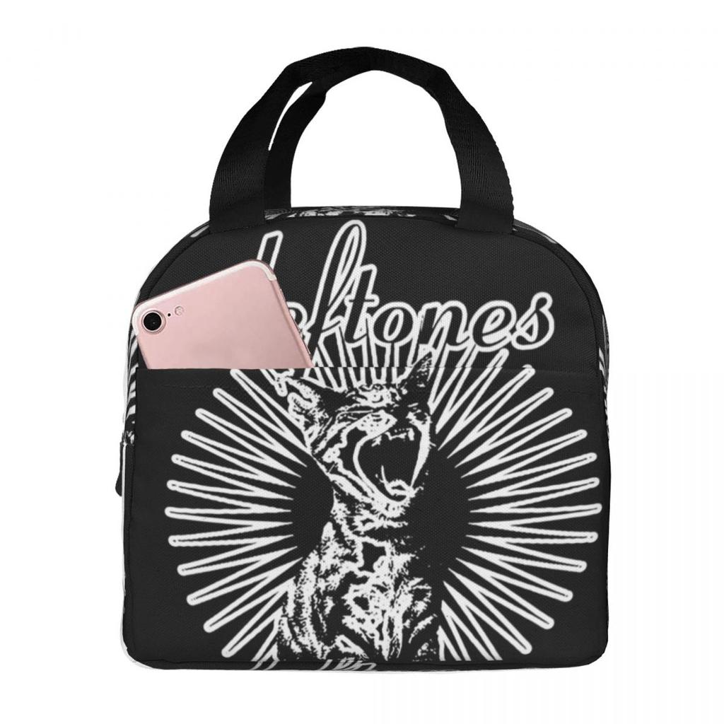 Metall Punk Rock Deftones Isolierte Lunchtasche für Damen Büro Kühlbox Thermische Lebensmittelbox Tragbare Lunchboxen Behälter