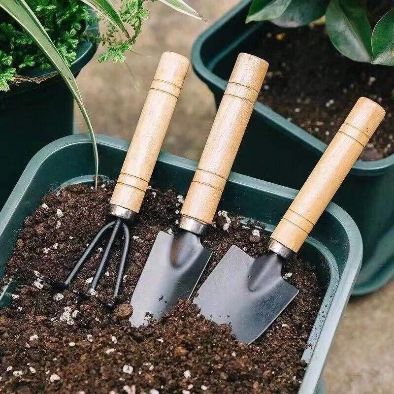 Conjunto de Ferramentas de Jardim com Cabo de Madeira Durável para Soltar o Solo e Plantar