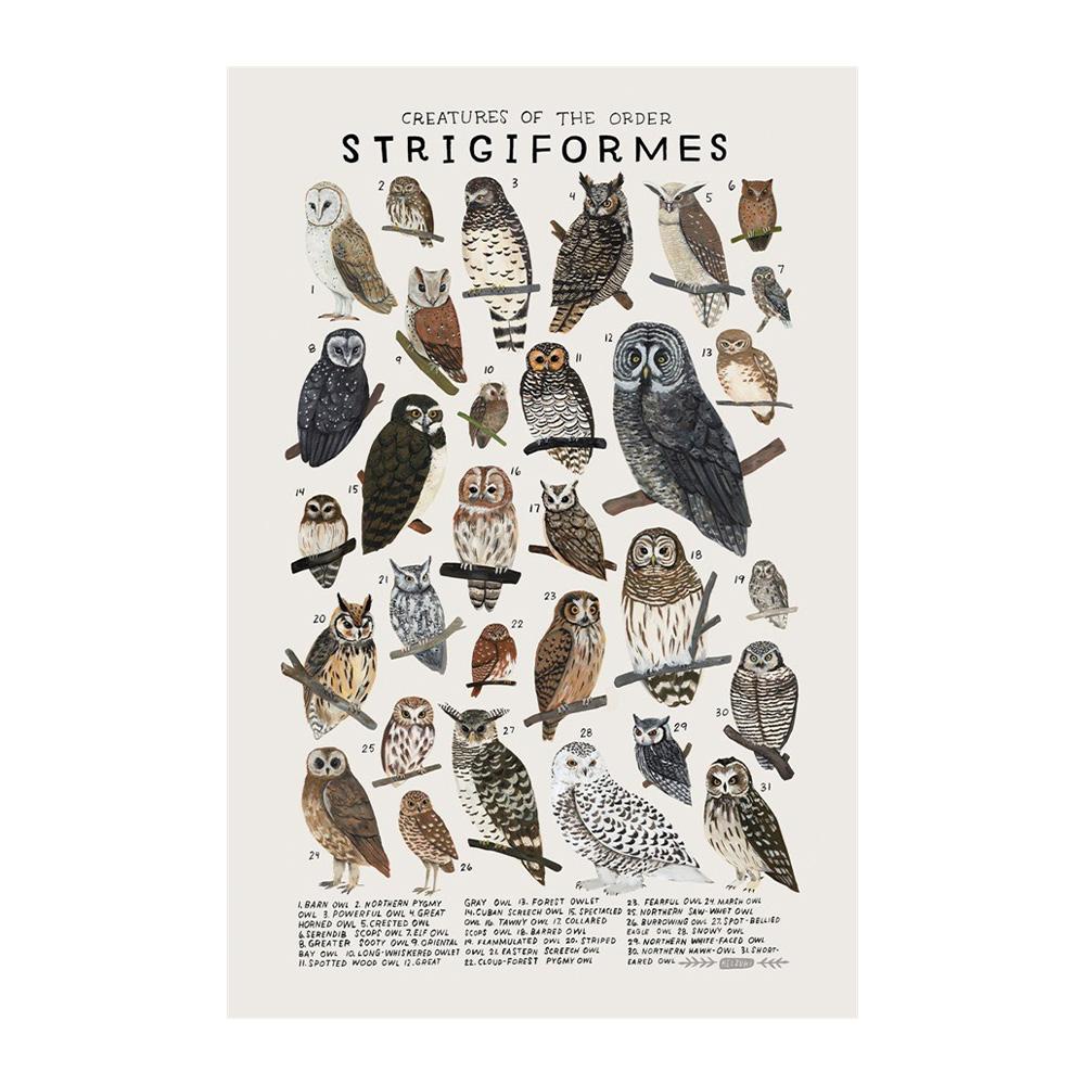 Abstract Marine Organisms Jellyfish Whale Squid Fishes Posters Canvas Painting and Prints Wall Art Picture for Room Home Decor