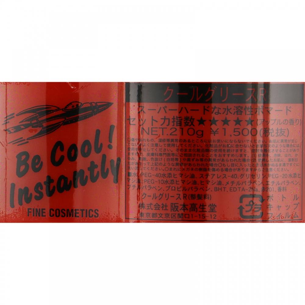 Cool GRey Sakamoto Koseido Cool GRey R orange groß 210 g