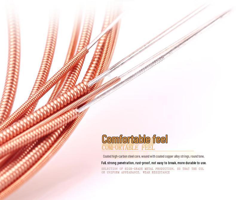 Alice AME422 Phosphor Bronze Folk Guitar Strings, Full Set of 6 Strings, 1st String Included