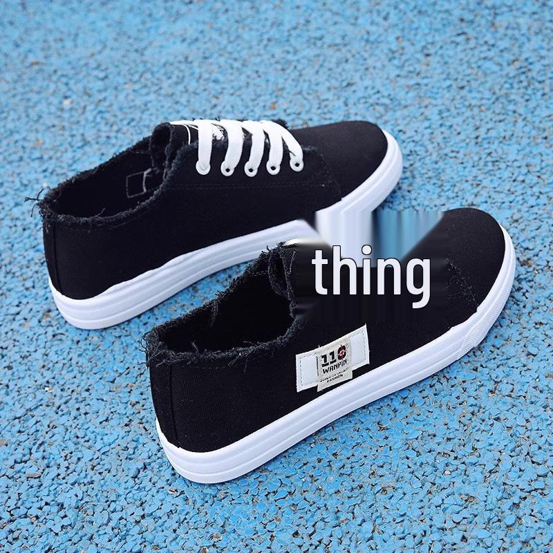 2025 Women's Canvas Shoes: New Korean Style, Flat Thick Sole, Summer Versatile White Shoes, Trendy for Female Students