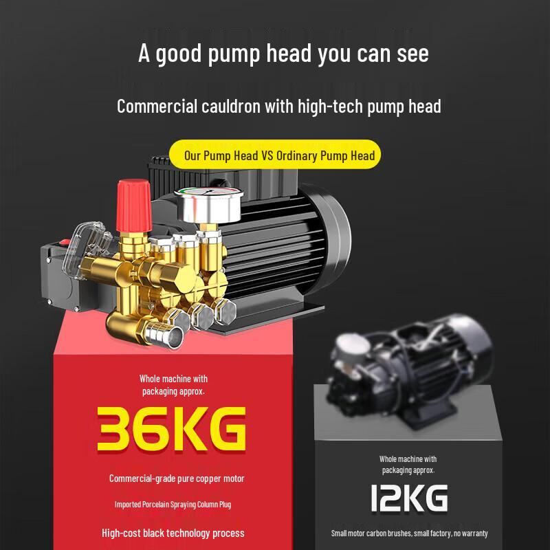 Black Cat Commercial High-Pressure Car Washer CN plug (adapter included)