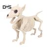 Halloween psí kostra Ornament Realistická plastová figurka zvířecích kostí pro halloweenskou vnitřní venkovní výzdobu party laskavosti